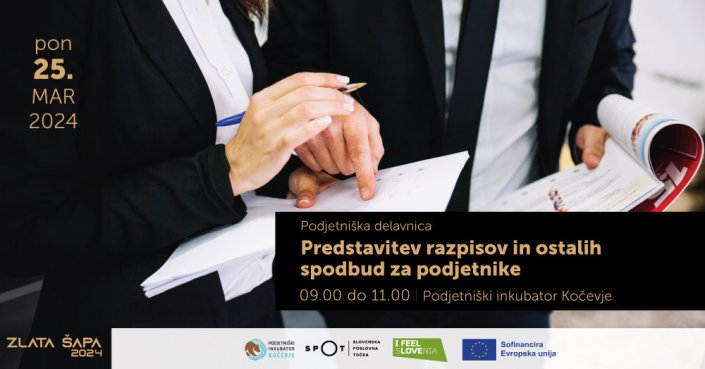 Predstavitev razpisov in ostalih spodbud za podjetnike