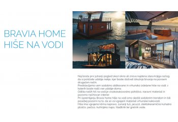 Bravia mobil