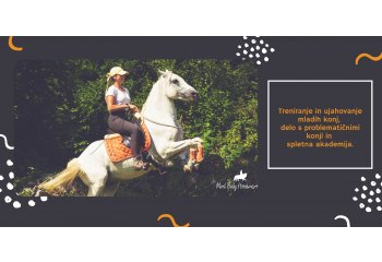 Mind Body Horsemanship, Nastja Pungračič Šprogar s.p.
