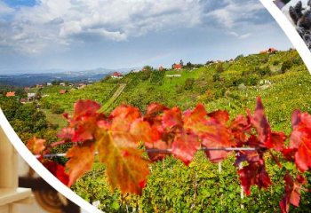 7. javni razpis za izbor operacij za uresničevanje ciljev na območju LAS Dolenjska in Bela krajina